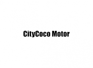CITYCOCO Reparatur Austausch 1x Motor